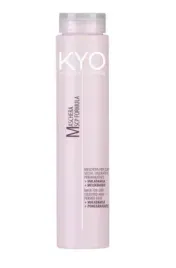 kyo-hydra-system-dry-coloured-hair-mask-250-ml