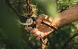 fiskars-sekator-nozycowy-solid-p321-fs1057162-kod-producenta-1057162