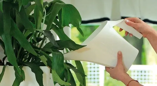 pp-konewka-coubi-biala-pidukon2-s449-pojemnosc-2-l