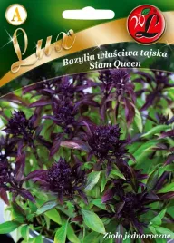 bazylia-wlasciwa-tajska-siam-queen-1g-nasiona-w-legutko-cynamonowo-anyzowa