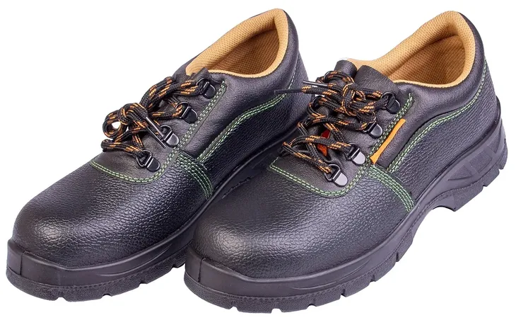 buty-robocze-kanion-rozmiar-45-plec-mezczyzni