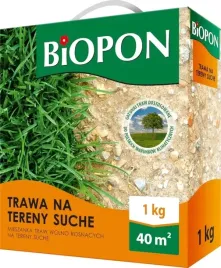 trawa-na-tereny-suche-gazonowa-mieszanka-nasion-1-kg