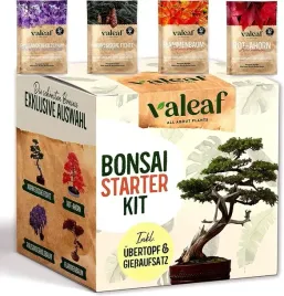 zestaw-startowy-do-uprawy-drzewek-bonsai-4-rodzaje-nasion-prezent