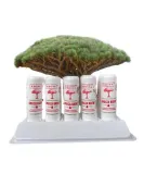 pomadka-ochronna-do-ust-smocza-krew-marka-editt-cosmetics