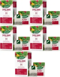 herbata-herbapol-spalanie-marakuja-5x20szt-2g