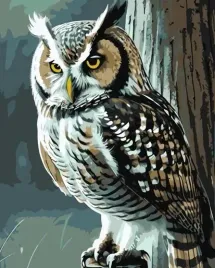 zestaw-kreatywny-malowanie-po-numerach-madra-sowa-40x50cm-qbee