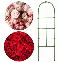 podpora-drabinkowa-pergola-ogrodowa-do-roslin-pnacych-do-roz-60cm-zielona