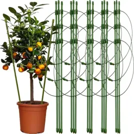 podporka-do-kwiatow-podpora-dla-roslin-doniczkowych-pnacych-kwiatka-61cm-5x