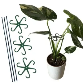 podporki-do-kwiatow-podporka-chwytak-z-pretem-33cm-octopus-m-15cm-3-szt