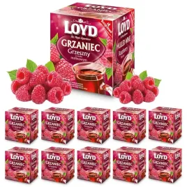 rozgrzewajaca-herbata-zimowa-owocowa-grzaniec-grzeszny-zimowy-10t-loyd