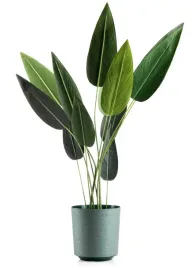doniczka-texelle-zielona-awokado-duza-25cm-okragla-plastikowa-na-balkon