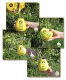 yerba-mate-green-mate-absinth-400g-stan-nowy