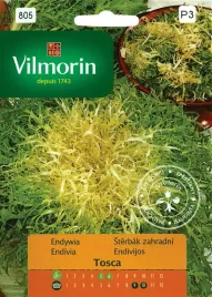 endywia-salata-tosca-05g-vilmorin-do-uprawy-latem-i-jesienia