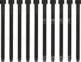 zestaw-srub-glowicy-cylindrow-victor-reinz-14-32122-01