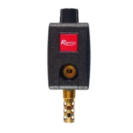 termostatyczny-zawor-dwufunkcyjny-schladzajacy-dbv2-3-4-cala-regulus-16627