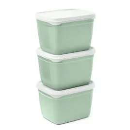 amuse-pojemniki-do-zamrazarki-optifridge-bio-3x1-2l