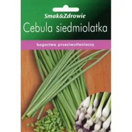 cebula-siedmiolatka-nasiona-na-szczypior-soczysty-delikatny