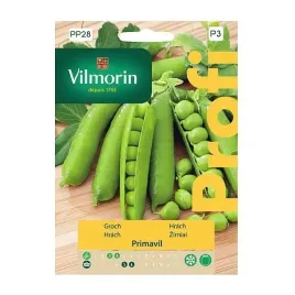 bob-primavil-nasiona-karlowa-wczesna-vilmorin-plenny-30g