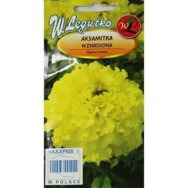 aksamitka-wzniesiona-cytrynowozolta-legutko-1g-wysokie-kwietniki