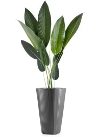 wysoka-doniczka-duza-antracytowa-z-wkladem-paski-donica-taras-ogrod-39x61cm