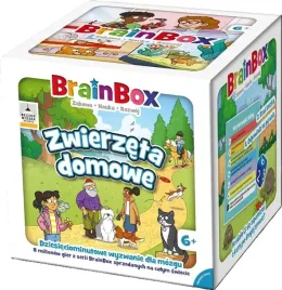 brainbox-zwierzeta-domowe-rebel-rebel