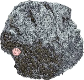 bouvier-des-flandres-naszywka-w-ksztalcie-psa-haftowana-latka-unikatowa