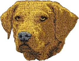 chesapeake-bay-retriever-naszywka-w-ksztalcie-psa-haftowana-latka-unika