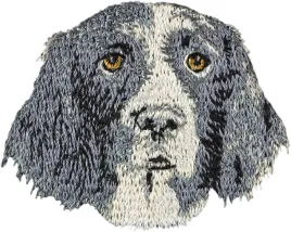 holenderski-pies-na-kuropatwy-dutch-partridge-dog-naszywka-w-ksztalcie-p