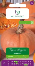 nasiona-dynia-olbrzymia-amazonka-3g-w-legutko