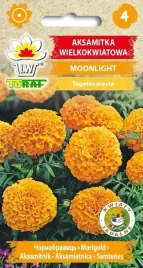 nasiona-aksamitka-moonlight-pomaranczowa-1g-toraf-kwitnie-do-mrozow-nasiona