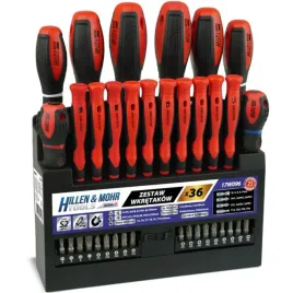 zestaw-wkretakow-z-bitami-dedra-36-elementow