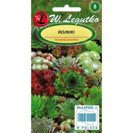 rojniki-rojnik-mieszanka-002-g-idealna-bylina-do-ogrodkow-skalnych