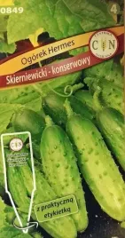 cn-ogorek-hermes-skierniewicki-5g-odporny-na-maczniaka-smaczny-konserwowy