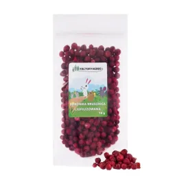 borowka-brusznica-liofilizowana-10g-factoryherbs-dla-krolikow-i-gryzoni