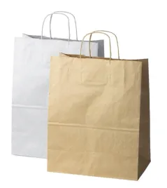 torba-papierowa-330x160x380-mm-zestaw-50-szt-z-uchem-skrecanym-braz-biala