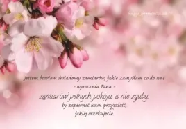 kartka-skladana-13-jestem-bowiem-swiadomy-jablon