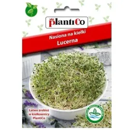 nasiona-na-kielki-lucerny-plantico-20g-kielkownica-zdrowe-smaczne