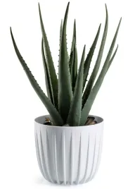 elegancka-biala-doniczka-do-salonu-sypialni-kuchni-na-ziola-kwiaty-18xh16cm