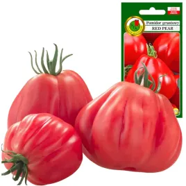 pomidor-red-pear-wysoki-niezwykle-smaczny-miesisty-duzy-masa-do-250g