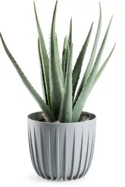 szara-doniczka-nowoczesna-niska-na-parapet-plastikowa-okragla-18xh16cm