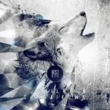 wilk-chodnikowy-cd-bisz