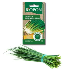 nasiona-biopon-cebula-siedmiolatka-bajkal-05-g