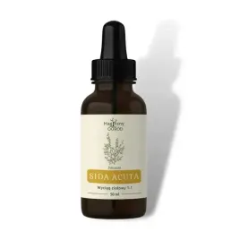 sida-acuta-nalewka-11-50ml-nanga