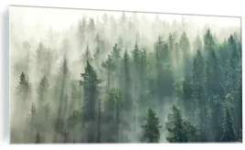 obraz-na-szkle-mglisty-las-mgla-do-salonu-sypialni-szklany-120x60cm