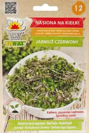 jarmuz-czerwony-red-nasiona-na-kielki-10g-kielkownica-zdrowe-smaczne