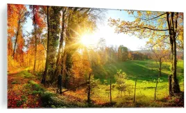 obraz-na-szkle-las-droga-promienie-slonca-jesien-na-szkle-szklany-120x60cm