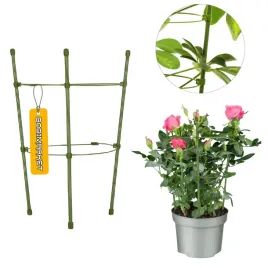 podpora-pierscieniowa-podporka-do-roslin-kwiatow-monstery-zamiokulkas-30cm