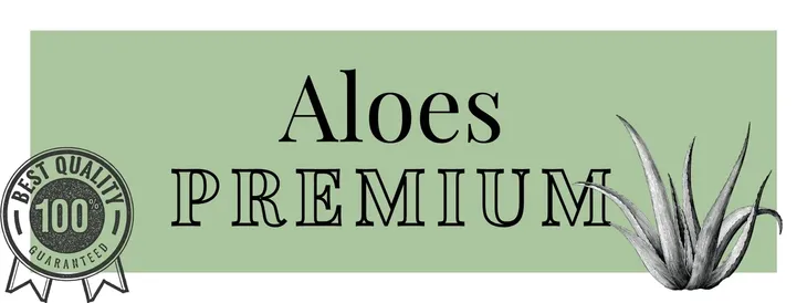 sok-aloes-100percent-500ml-pojemnosc-500-ml