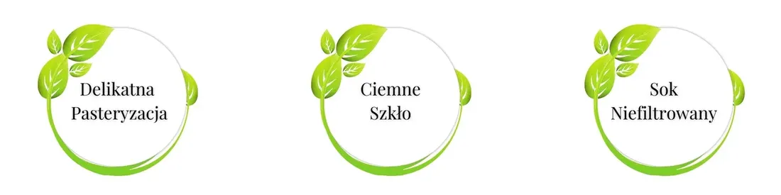 sok-aloes-100percent-500ml