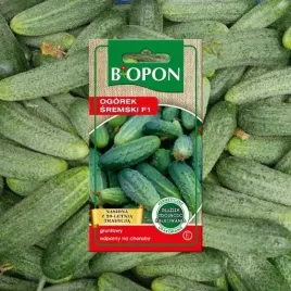 ogorek-wczesny-sremski-f1-nasiona-4-g-odporny-na-choroby-gruntowy